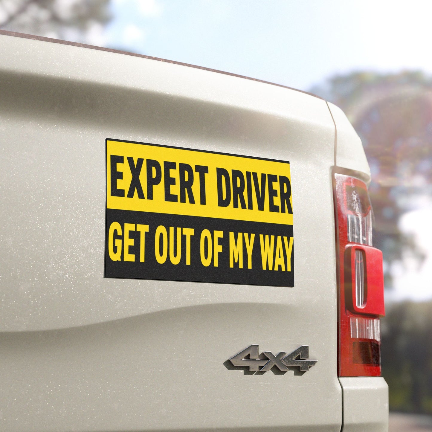 EXPERT DRIVER GET OUT OF MY WAY Car Magnet